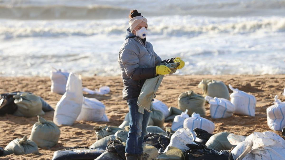 Peste 30 de delfini au murit în urma unei scurgeri de păcură în Marea Neagră.