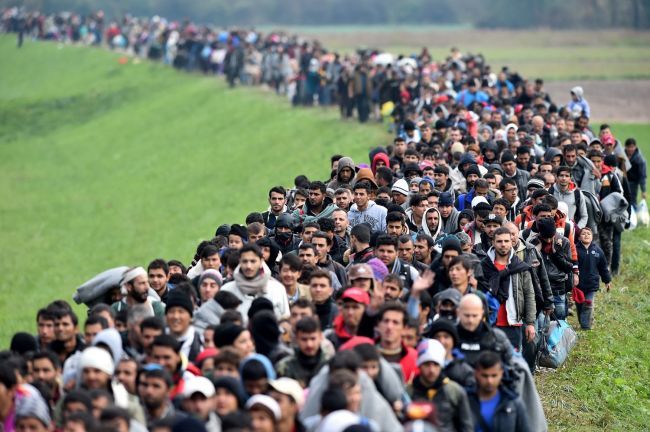 Число мигрантов в мире за последние девять лет выросло на 51 миллион.