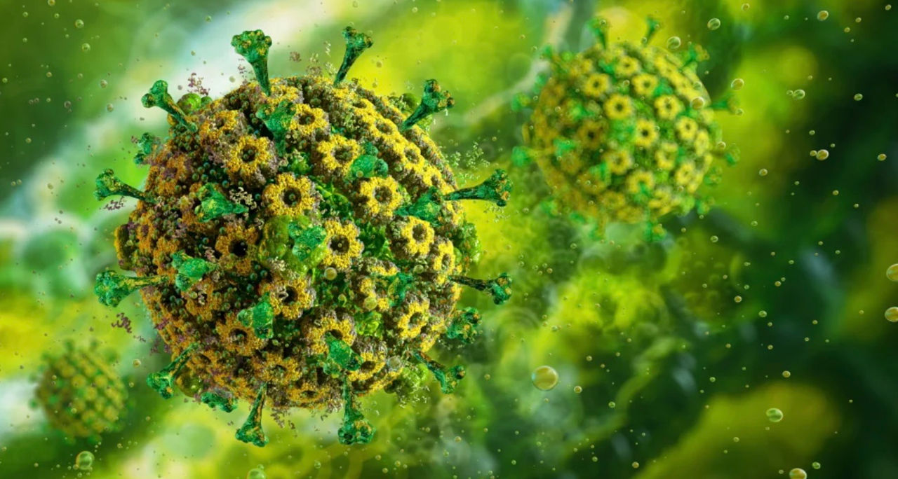 Studiu: Virusul herpes trăiește alături de oameni cel puțin 2.800 de ani.