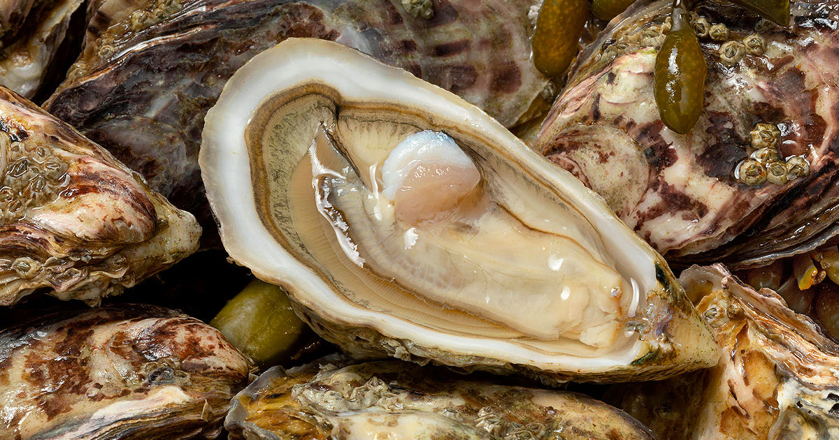 România vrea să crească stridii în Marea Neagră și să dezvolte producția de fructe de mare.