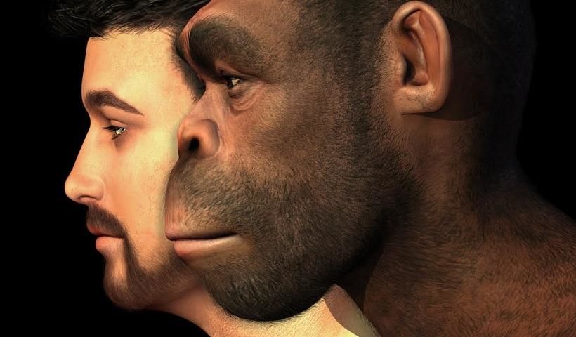 Предки людей были падальщиками, любившими жирную пищу