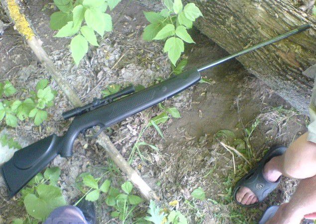 Молдаванин в Парме устроил в парке стрельбу из пневматической винтовки.