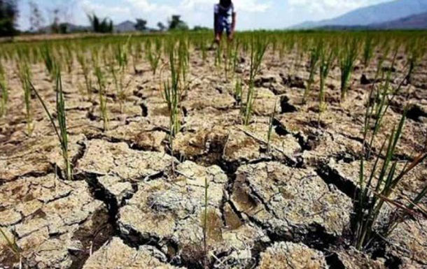 Агроэксперты считают, что риск засухи в Молдове очень высок.