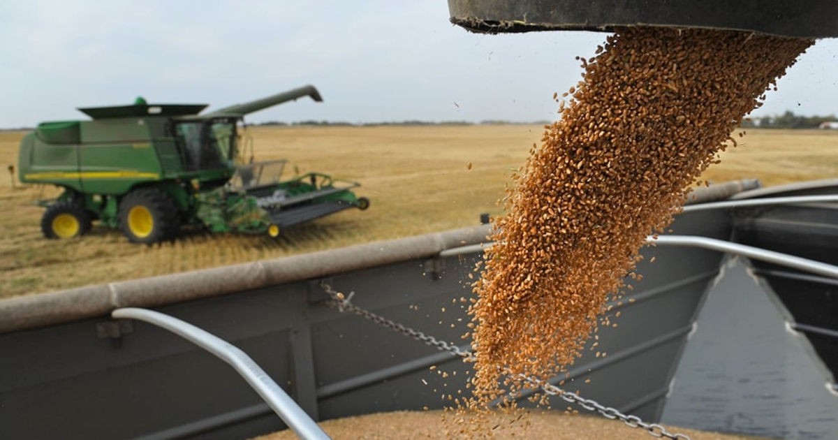 Producția agricolă în Moldova a scăzut cu 6,8%.
