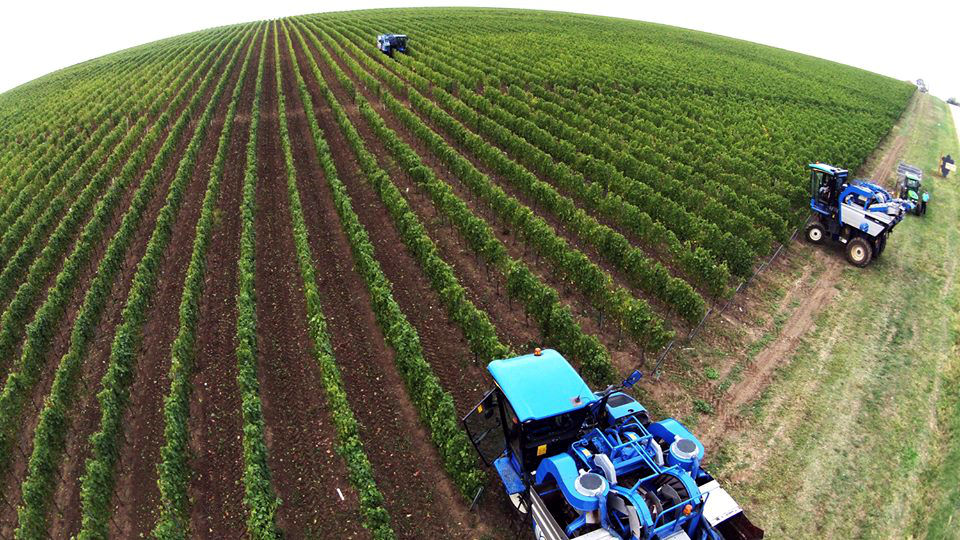 Plantațiile de viță-de-vie din Moldova, monitorizate de drone
