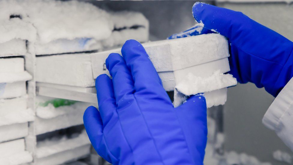 Регулятор в США разрешил хранить вакцину Pfizer в обычном холодильнике.