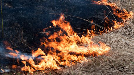 Согласно спасателям, пожар вспыхнул на стихийной свалке.