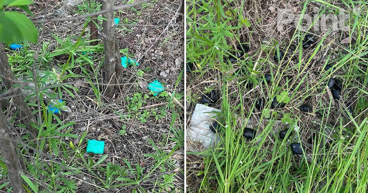 Un tânăr din Fălești, reținut în flagrant în timp ce plasa droguri în ascunzișuri.