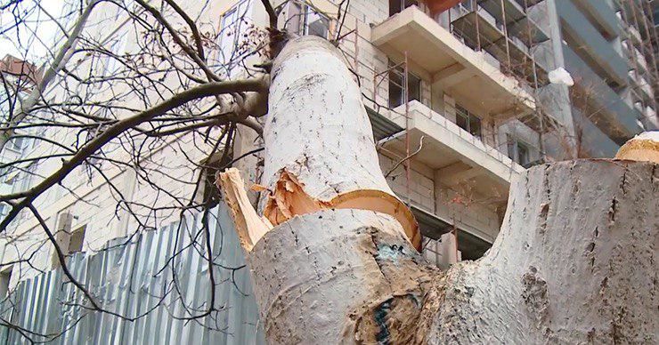 Жители Чекан возмущены новой стройкой и вырубкой деревьев. Фото: Point.md