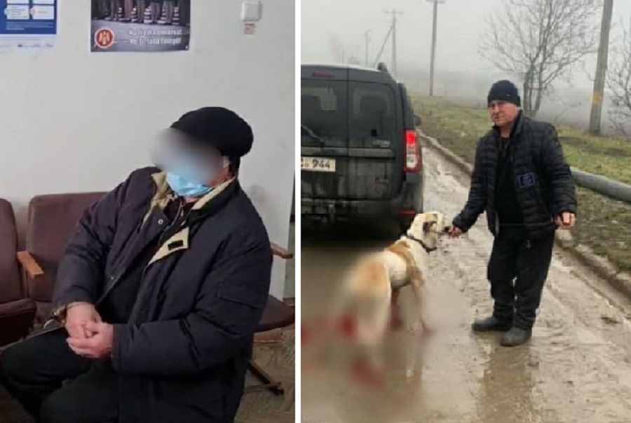 Мужчину, привязавшего собаку к машине, вызвали в полицию.