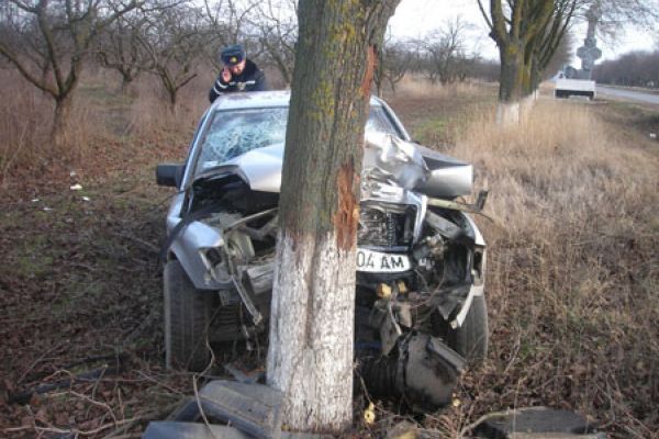 Водитель автомобиля не справился с управлением и врезался в дерево.