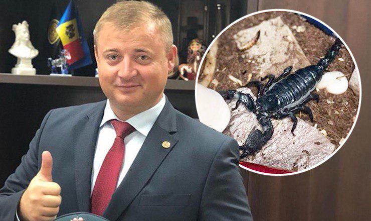 Георге Кавкалюк показал своего питомца.