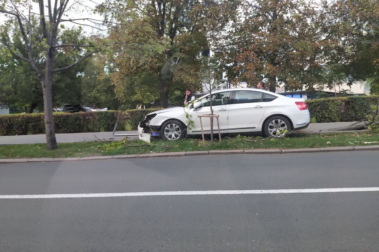 ДТП в Кишиневе: Водитель снес несколько деревьев и дорожный знак