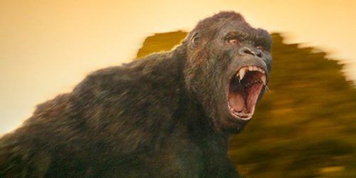 Legendarul King Kong revine în 2017 pe marile ecrane.