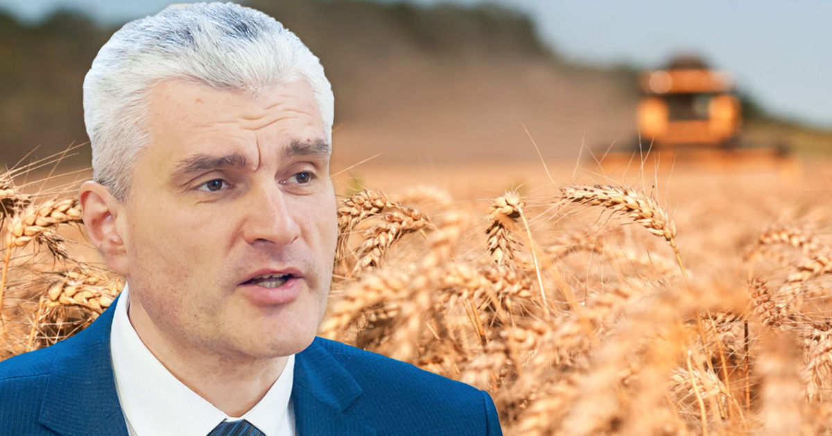 Слусарь назвал причину, почему фермеры не продали пшеницу для госрезерва. Коллаж: Point.md