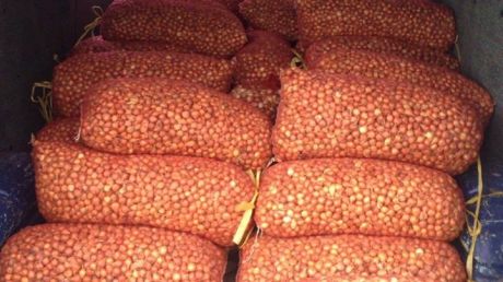Produse alimentare transportate în condiţii antisanitare şi fără acte de însoţire. Foto: customs.gov.md