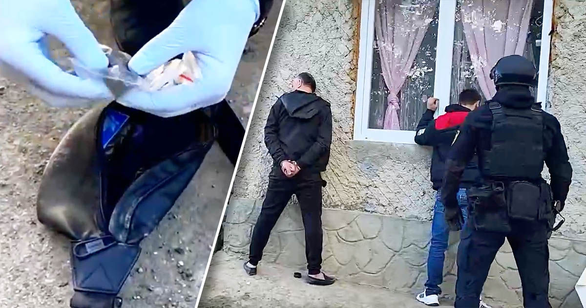 В Оргееве выявили группировку, специализирующуюся на торговле наркотиками. Коллаж: Point.md