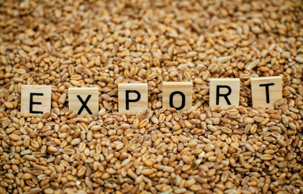 Exportul de grâu din Moldova a crescut cu 18%, dar prețurile au scăzut.