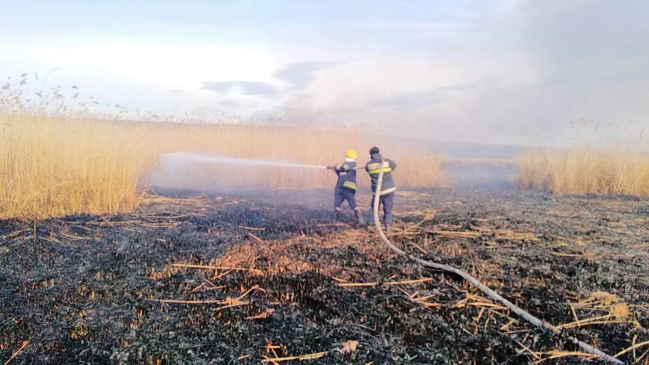 Пожарные ликвидировали более 56 очагов возгорания сухой растительности.