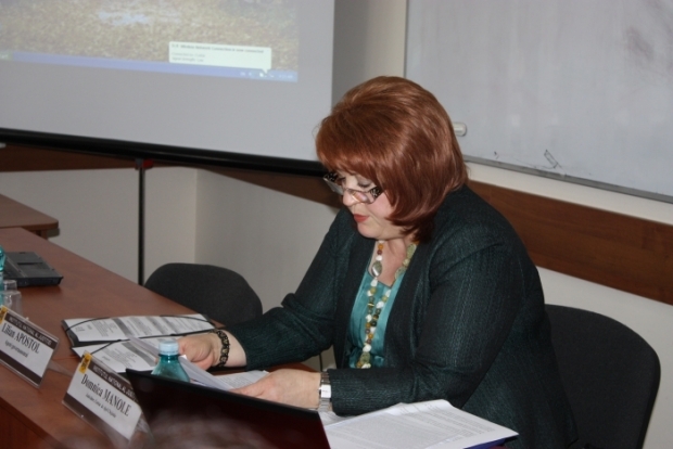 Și-a dorit să ajungă membru permanent al Consiliului Superior al Magistraturii (CSM), dar nu a fost votată de magistrații care au participat la Adunarea Generală a Judecătorilor din 18 octombrie 2013.