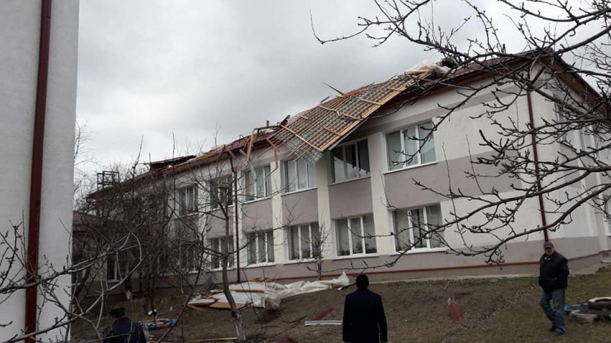 За счет муниципальных средств отремонтируют крыши двух учебных заведений.