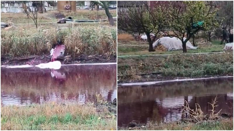 В Бардаре вино течет прямо в пруд.