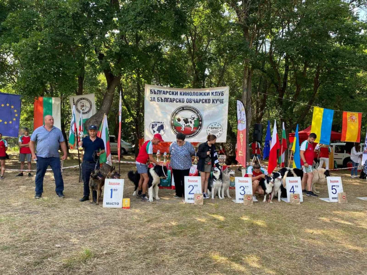 Пес Ларри прославил Пограничную полицию Молдовы на кинологическом чемпионате Европы.