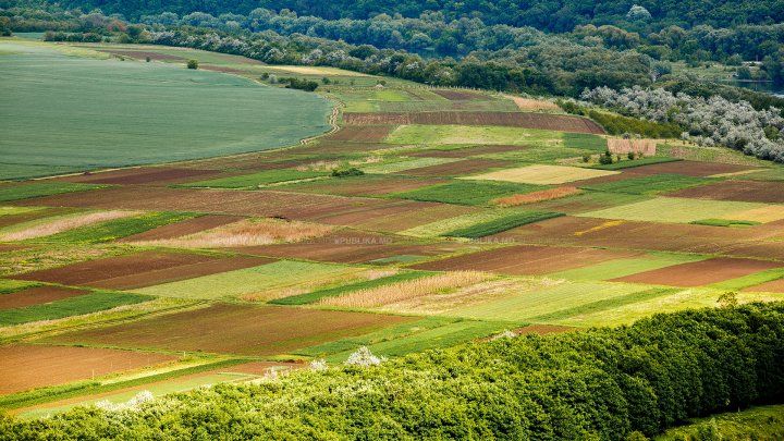 Proprietarii terenurilor agricole vor putea construi pensiuni fără să schimbe destinaţia loturilor. 
