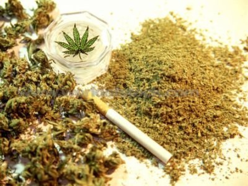 După un filaj de câteva luni, oamenii legii au reușit să pună mâna pe membrii unei rețele criminale, specializată în contrabanda cu substanțe narcotice.