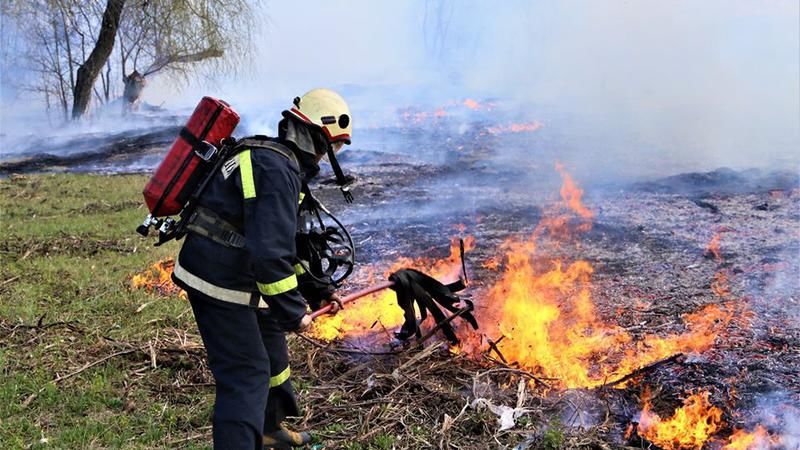 Пожарные устранили 66 очагов возгорания сухой растительности.