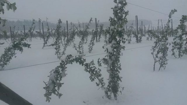 Zeci de oameni s-au mobilizat pentru a curăța orașul. Foto: ipn.md