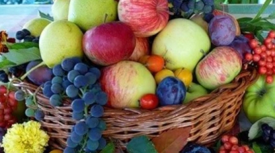 Veste bună pentru agricultorii din ţara noastră. Parlamentul UE a adoptat, astăzi, proiectul de rezoluție privind facilitarea importurilor din Moldova.