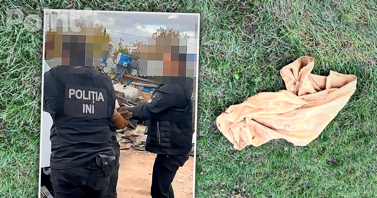 Crima brutală din Văsieni: Poliția a dezvăluit detalii.