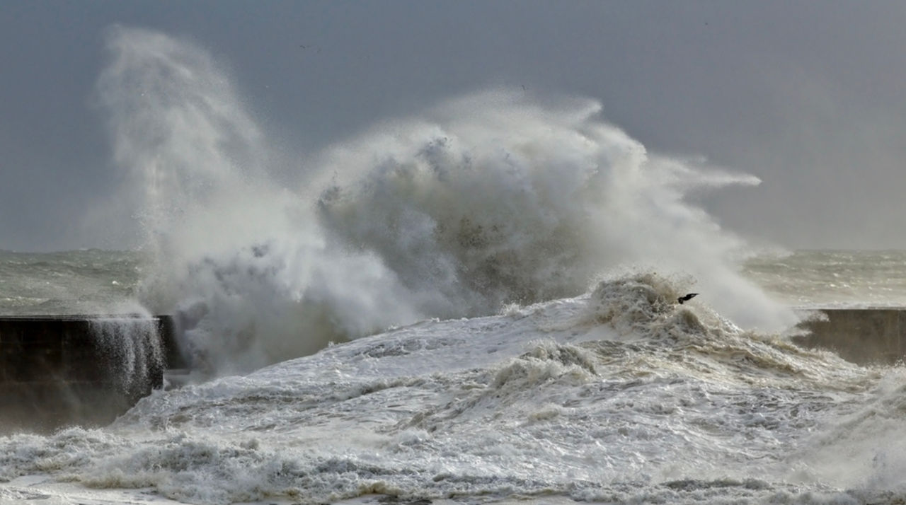 Tsunamiul provocat de cutremurul din Kamceatka a ajuns până în California.