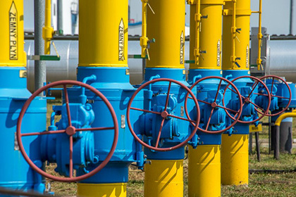 C 24 января Украина сможет импортировать из Евросоюза до 40 миллионов кубометров газа в день вместо нынешних 31,5 миллиона.