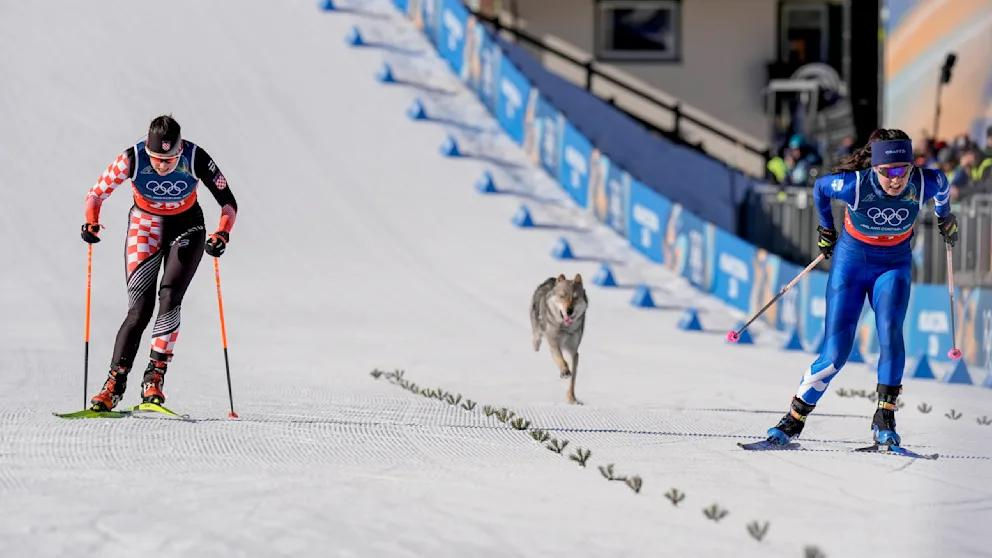 На Олимпиаде в Италии лыжницы испугались собаки, которая выбежала на трассу.