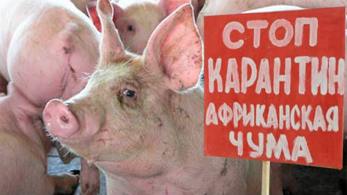 Зона санитарно-ветеринарного контроля была распространена и на село Тудора.