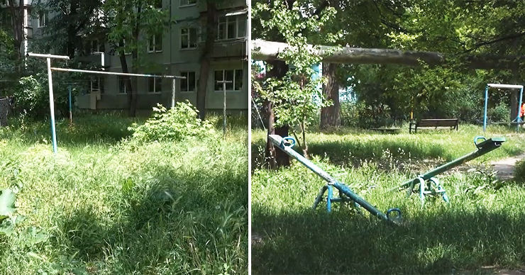 Жители Бельц жалуются на некошеную траву во дворах. Коллаж: Point.md