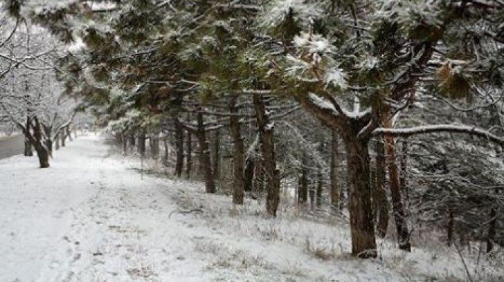 Meteorologii susţin că ninsorile sunt aduse de un ciclon rece.
