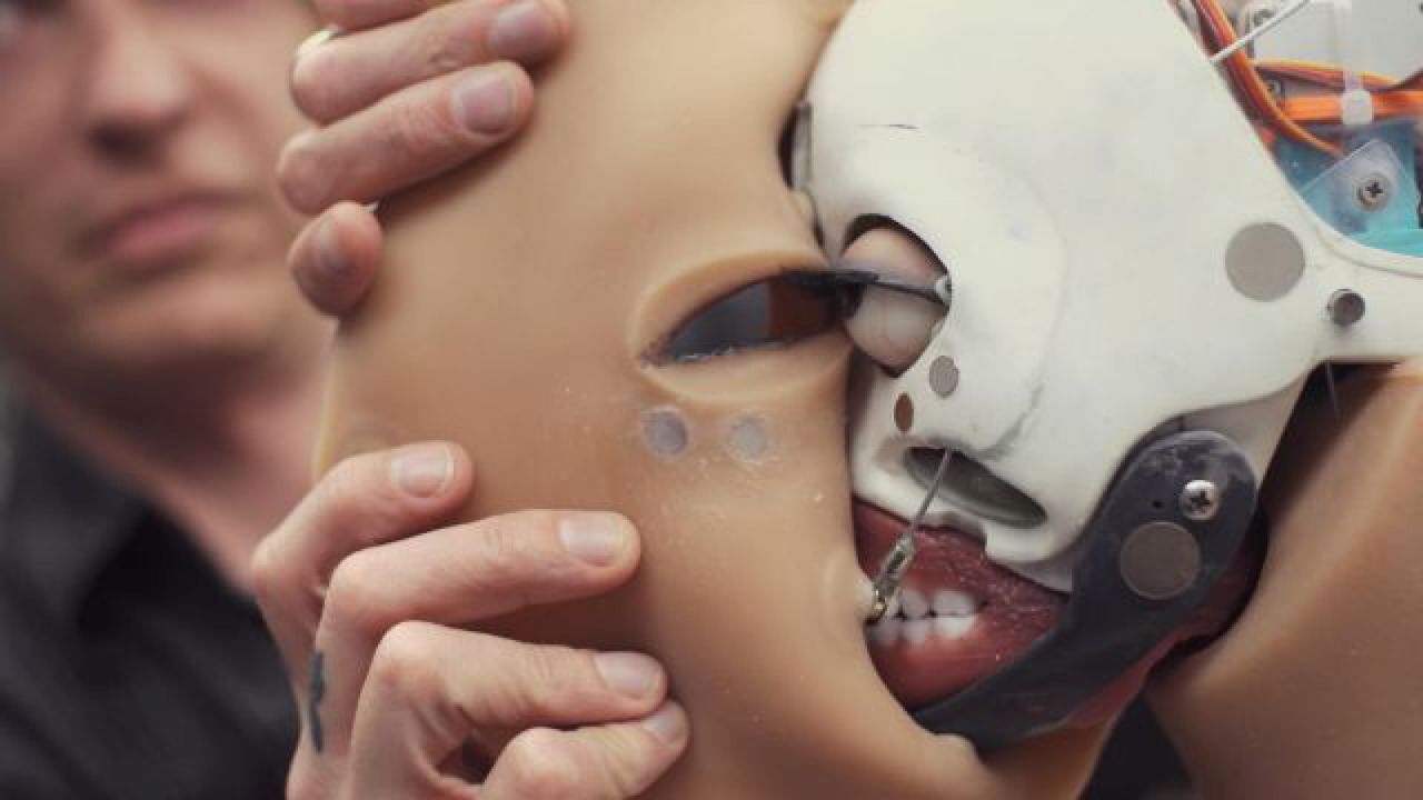 Roboţii pentru sex ar putea fi folosiţi de hackeri pentru a ucide oameni