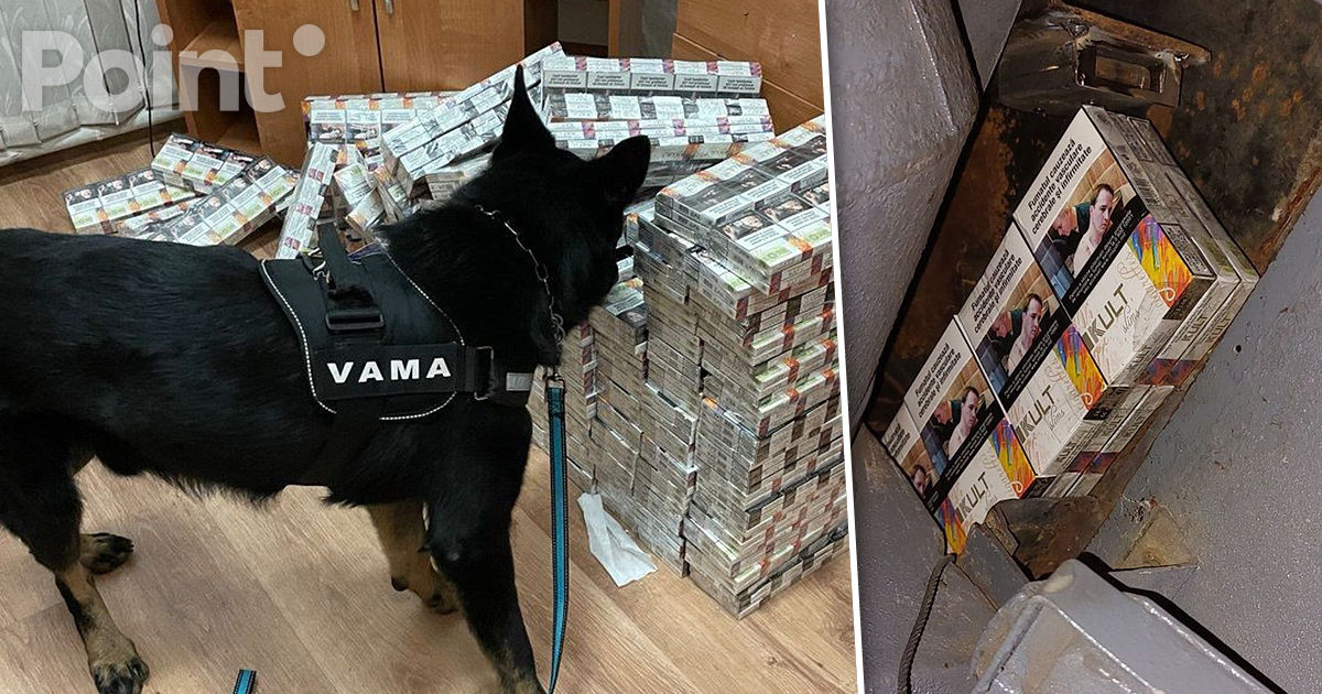 Un câine de serviciu a ajutat vameșii să găsească aproape 1.700 de pachete de țigări în trenul Chișinău-București.