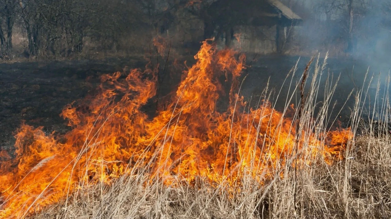 Cod Galben de pericol de incendii în Moldova.