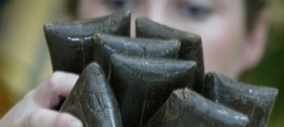 Procurorii i-au deferit justiţiei pe cei doi, învinuidu-i de tăinuirea a circa două kilograme de haşiş.