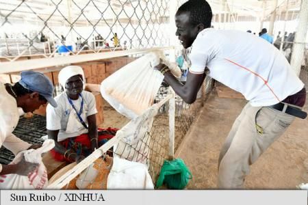 Aproximativ 12 milioane de persoane sunt afectate de criza umanitară din regiunea africană Sahel