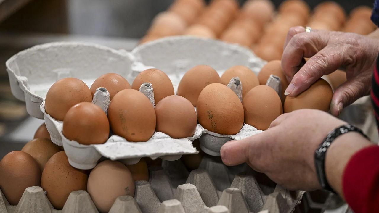 Expert: Femeile însărcinate, copiii și vârstnicii sunt cei mai expuși riscului de antibiotice din alimente.