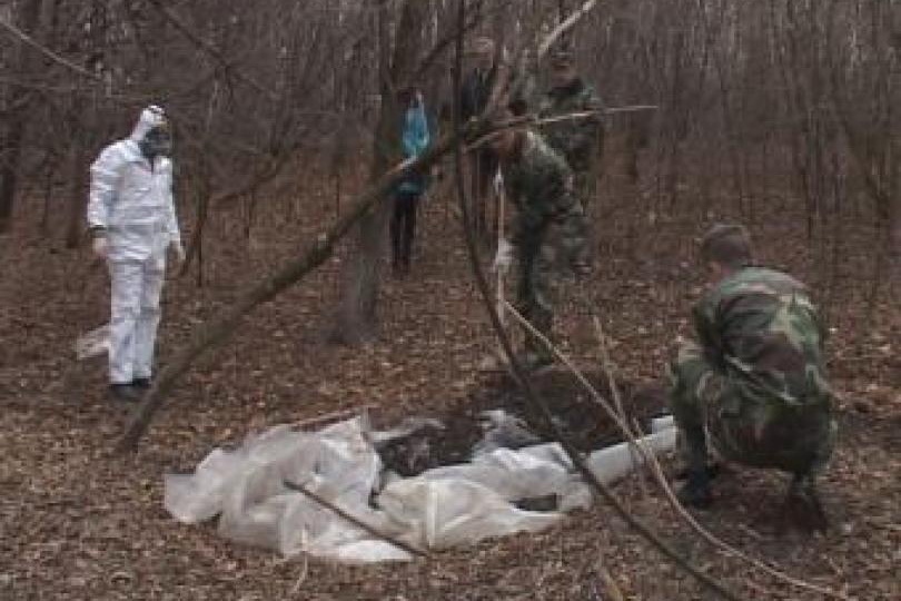 Неучтённый "склад" нашли грибники в лесной посадке в Рыбницком районе.