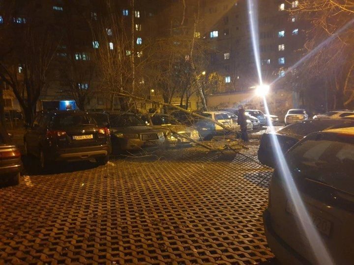 Из-за сильного ветра в Молдове начали ломаться деревья.
