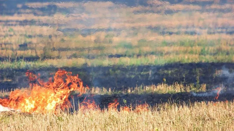 Avertizare sub formă de Cod Galben de pericole de incendii, emisă în Moldova.