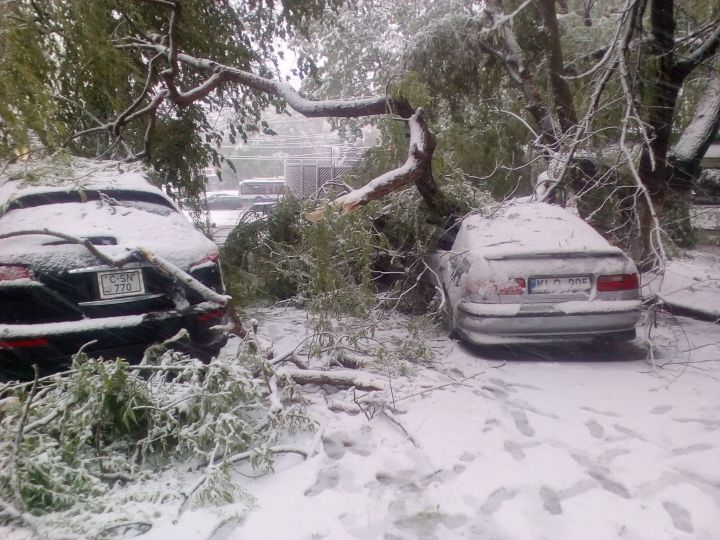 O persoană și-ar fi pierdut viața în această dimineață, după ce a călcat pe un cablu electric.