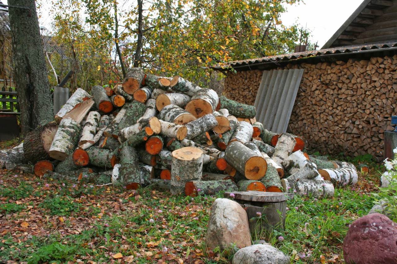 Раньше такое не покупали, но сейчас всё уходит. Фото: blogspot.com.